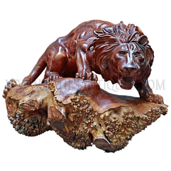 Burmese Burl-wood Carving of Attacking Lion